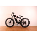 2021 26*4.0 750W 1000W big power Fat tire electric Mountain E bike/Snow bike/electric bicycle with CE